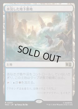 画像1: 【日本語版】水没した地下墓地/Drowned Catacomb