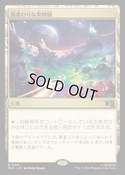 画像1: 【日本語版】風変わりな果樹園/Exotic Orchard