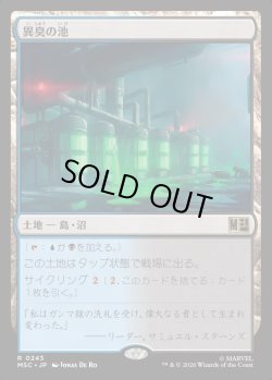 画像1: 【Foil】【日本語版】異臭の池/Fetid Pools