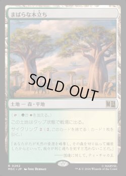 画像1: 【Foil】【日本語版】まばらな木立ち/Scattered Groves