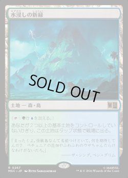 画像1: 【Foil】【日本語版】水浸しの新緑/Sodden Verdure