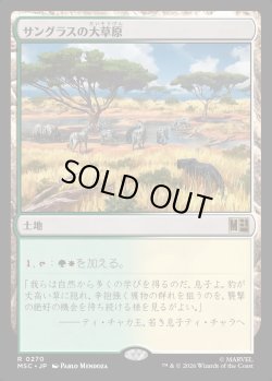 画像1: 【Foil】【日本語版】サングラスの大草原/Sungrass Prairie