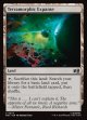 『サージFoil』『英語版』広漠なる変幻地/Terramorphic Expanse
