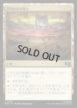 画像1: 【日本語版】手付かずの領土/Unclaimed Territory