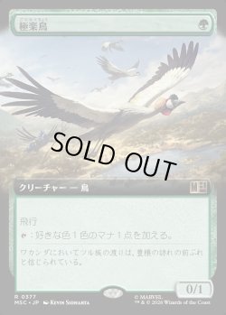 画像1: 【日本語版】【拡張枠】極楽鳥/Birds of Paradise