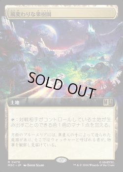 画像1: 【日本語版】【拡張枠】風変わりな果樹園/Exotic Orchard