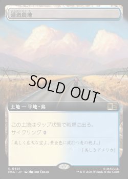 画像1: 【日本語版】【拡張枠】灌漑農地/Irrigated Farmland