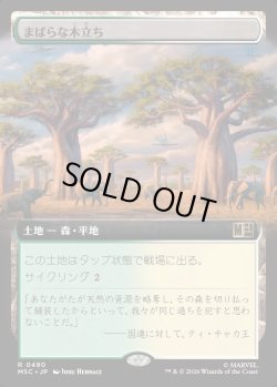 画像1: 【日本語版】【拡張枠】まばらな木立ち/Scattered Groves