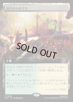 画像1: 【日本語版】【拡張枠】陽花弁の木立ち/Sunpetal Grove