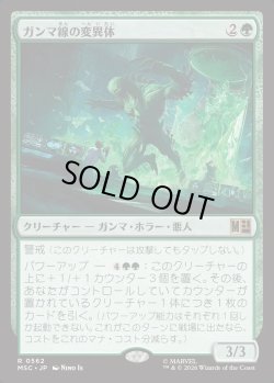 画像1: 【日本語版】ガンマ線の変異体/Gamma Grotesque