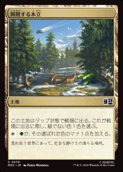 画像1: 【日本語版】興隆する木立/Thriving Grove