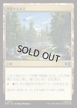 画像1: 【日本語版】興隆する木立/Thriving Grove