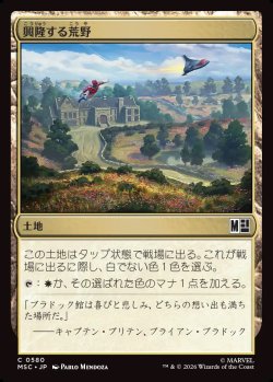 画像1: 【日本語版】興隆する荒野/Thriving Heath