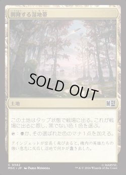 画像1: 【日本語版】興隆する湿地帯/Thriving Moor