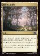 【日本語版】興隆する湿地帯/Thriving Moor