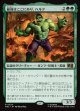 【Foil】【日本語版】最強はここにあり、ハルク/Hulk, Strongest There Is