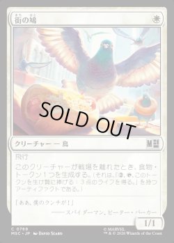 画像1: 【日本語版】街の鳩/City Pigeon