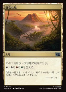 画像1: 【日本語版】野蛮な地/Savage Lands