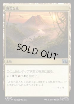 画像1: 【日本語版】野蛮な地/Savage Lands
