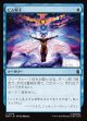 【Foil】【日本語版】ピム粒子/Pym Particles
