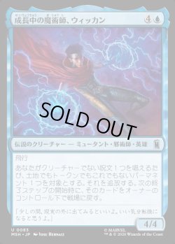 画像1: 【Foil】【日本語版】成長中の魔術師、ウィッカン/Wiccan, Rising Magician