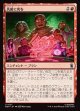 【日本語版】仇敵に死を/Death to Our Enemies