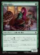 【Foil】【日本語版】熟練の蛇使い/Serpent Specialist