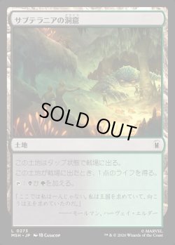 画像1: 【Foil】【日本語版】サブテラニアの洞窟/Subterranean Cavern