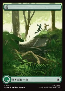 画像1: 【Foil】【日本語版】【街の混沌】森/Forest