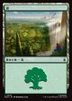 【Foil】【日本語版】森/Forest