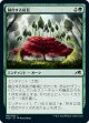 【日本語版】融合する成長/Grafted Growth