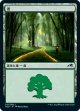 【日本語版】森/Forest