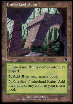 画像1: 『英語版』森林地の廃墟/Timberland Ruins