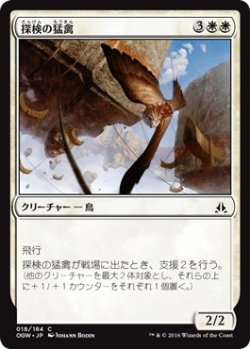 画像1: 【日本語版】探検の猛禽/Expedition Raptor