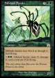 『英語版』絹鎖の蜘蛛/Silklash Spider