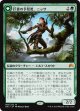 【日本語版】巨森の予見者、ニッサ/Nissa, Vastwood Seer/精霊信者の賢人、ニッサ/Nissa, Sage Animist