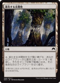 画像1: 【日本語版】進化する未開地/Evolving Wilds