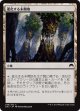 【日本語版】進化する未開地/Evolving Wilds