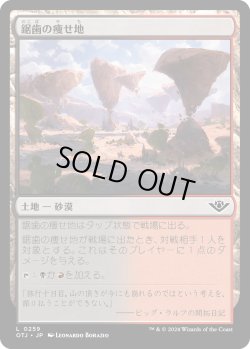画像1: 【日本語版】鋸歯の痩せ地/Jagged Barrens