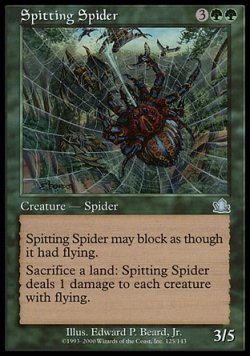画像1: 『英語版』毒吐き蜘蛛/Spitting Spider