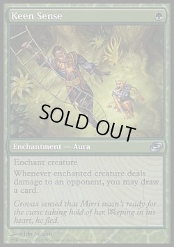 画像1: 【日本語版】鋭い感覚/Keen Sense