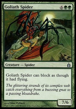 画像1: 『英語版』巨体の蜘蛛/Goliath Spider