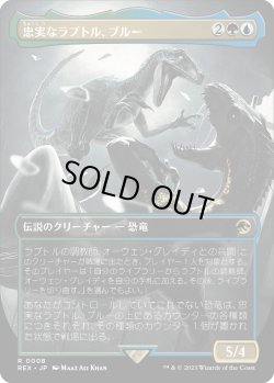 画像1: 【日本語版】忠実なラプトル、ブルー/Blue, Loyal Raptor