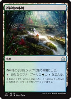 画像1: 【日本語版】森林地の小川/Woodland Stream