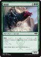 【日本語版】破壊獣/Wrecking Beast