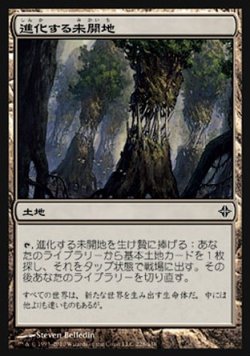 画像1: 【日本語版】進化する未開地/Evolving Wilds