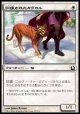 【日本語版】訓練されたカラカル/Trained Caracal