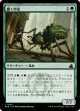 【日本語版】蠢く甲虫/Drudge Beetle