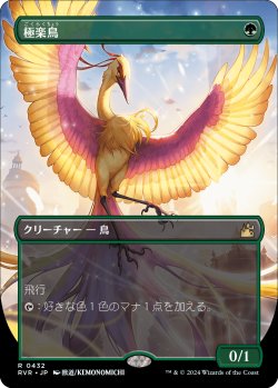 画像1: 【アニメ・ボーダーレス】【日本語版】極楽鳥/Birds of Paradise