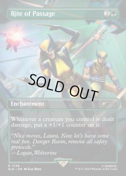 画像1: 『Foil』『英語版』通過の儀式/Rite of Passage